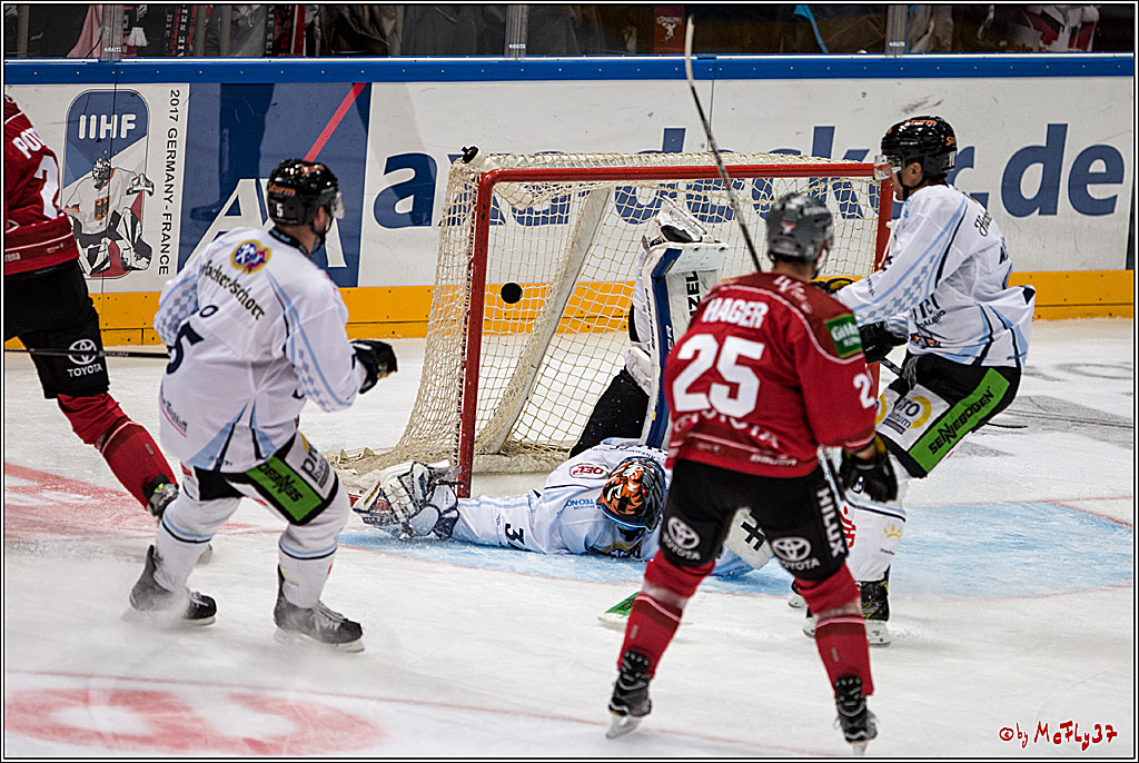 Koelner Haie - Straubing Tigers, 03.10.2016